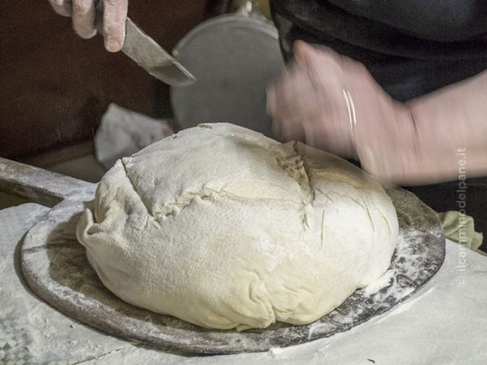 Cammino del pane