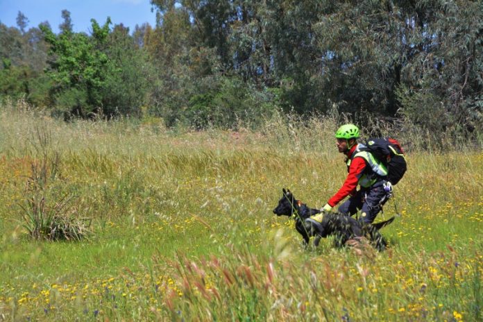 ricerche uomo scomparso cosenza