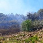 bosco incendio sant agostino