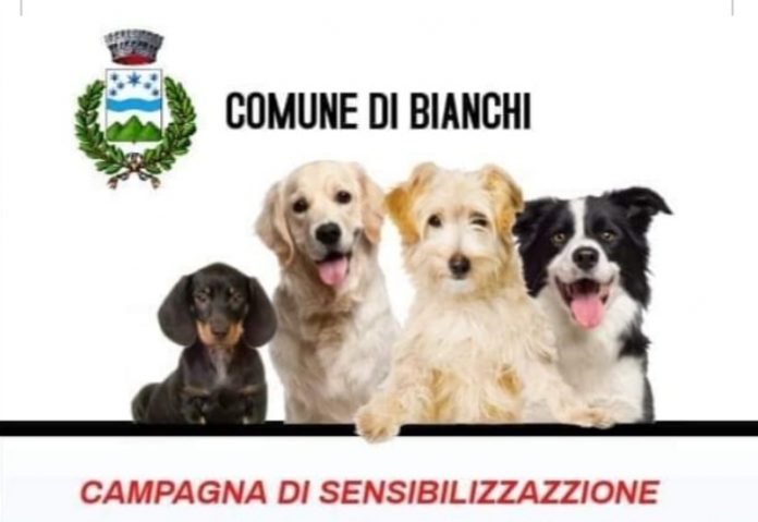 campagna adozione cani a Bianchi