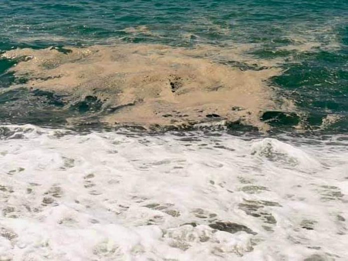 chiazza marrone mare fuscaldo