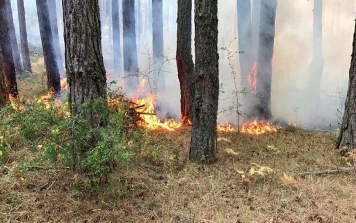 emergenza incendi