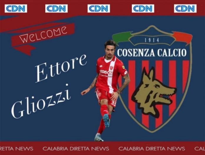 Ettore Gliozzi