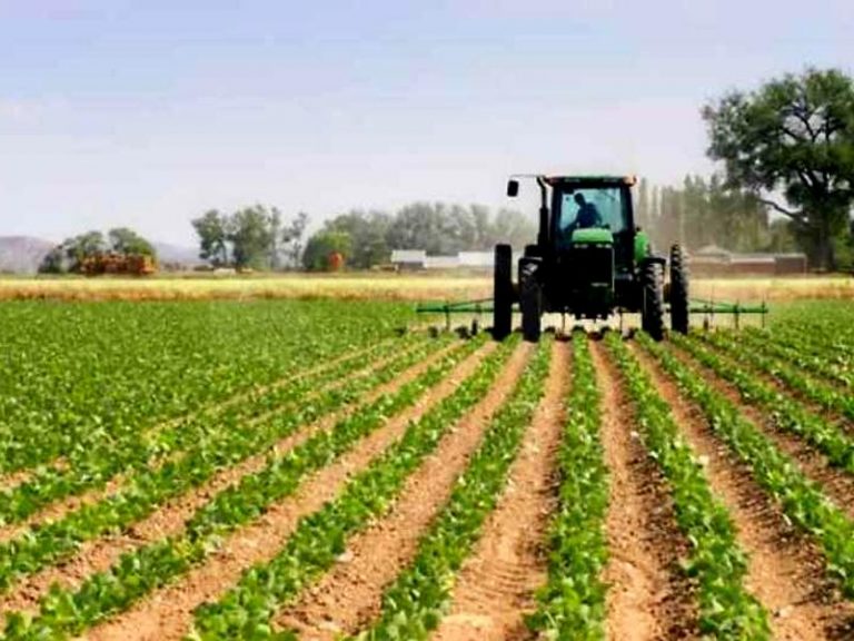 psr agricoltura sviluppo rurale