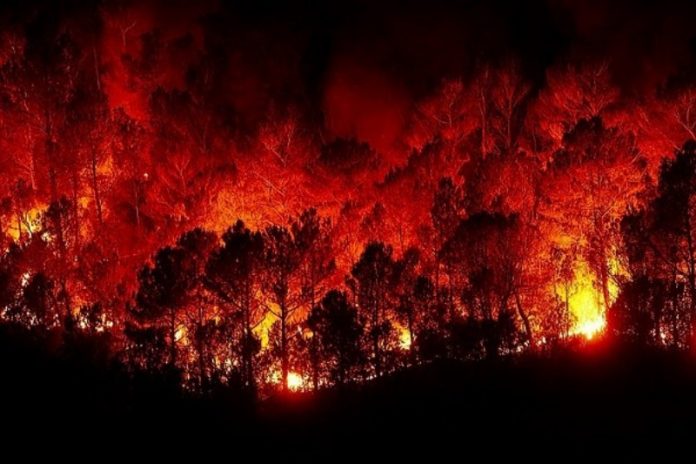 emergenza incendi calabria
