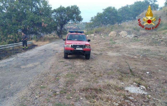 22 incendi nel vibonese