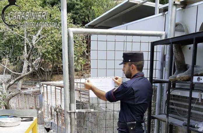 sequestro canile san pietro in guarano