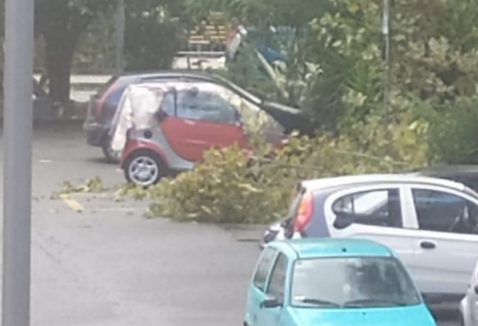 forti raffiche di vento cosenza
