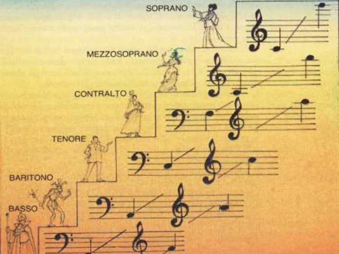 voce come strumento musicale nelle scuole