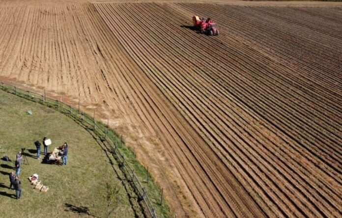 a scippa ripresa dal drone