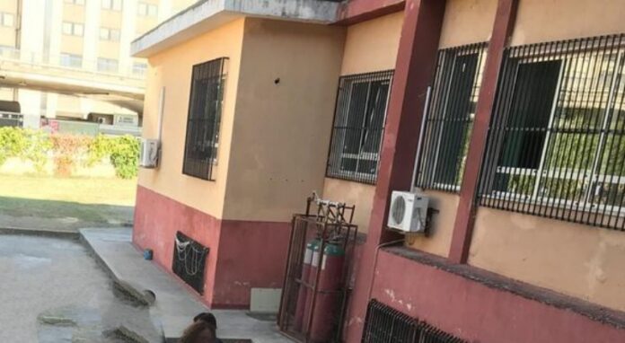 docente positivo scuola chiusa a cosenza
