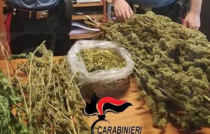spaccio marijuana santa maria catanzaro
