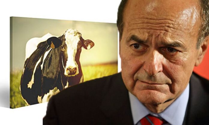 Bersani- nomina Zuccatelli