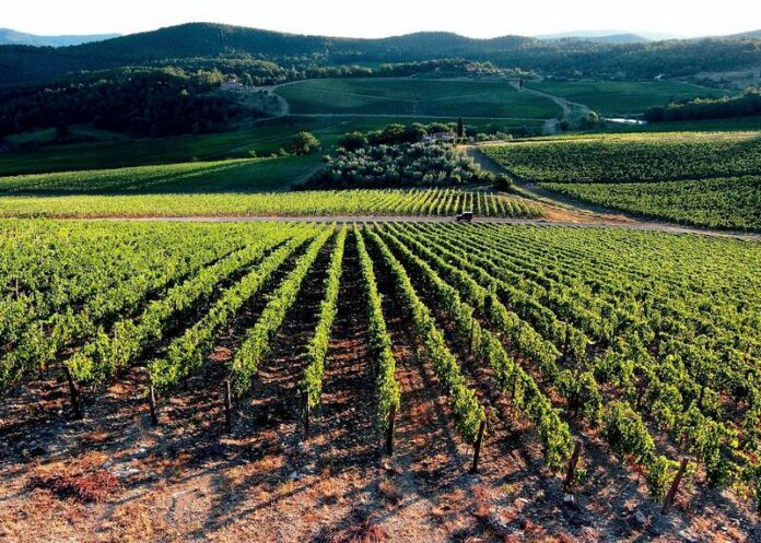 arcea fondi agroalimentare