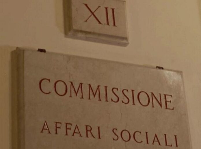 commissione affari sociali camera