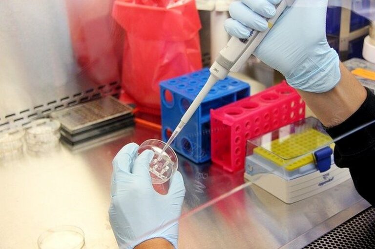 laboratorio analisi tamponi voronavirus