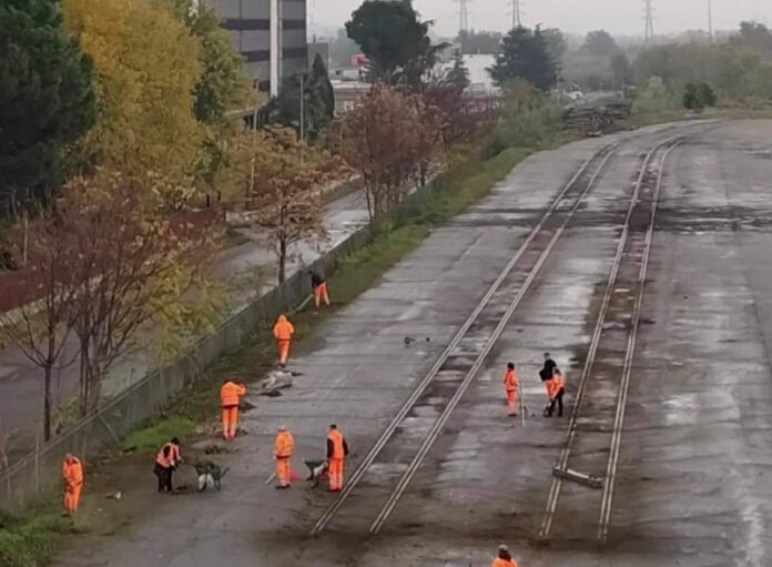 vaglio lise ospedale cosenza