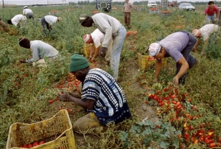 braccianti agricoli caporalato