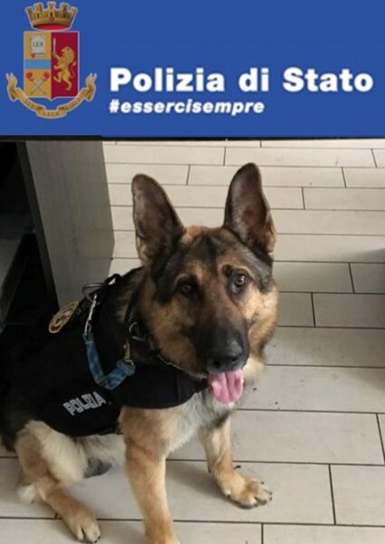 bruce cane antidroga