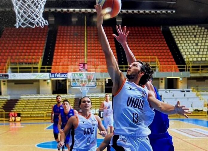 viola reggio calabria basket
