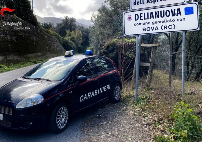 carabinieri delianuova