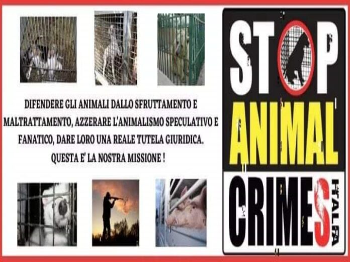 diritti degli animali
