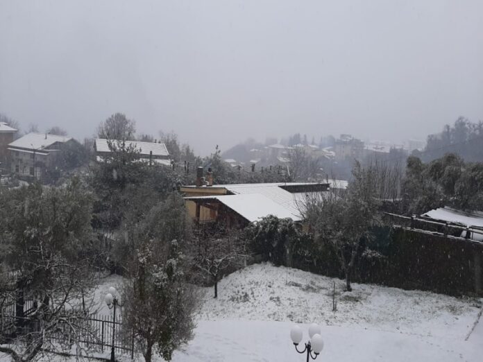 neve