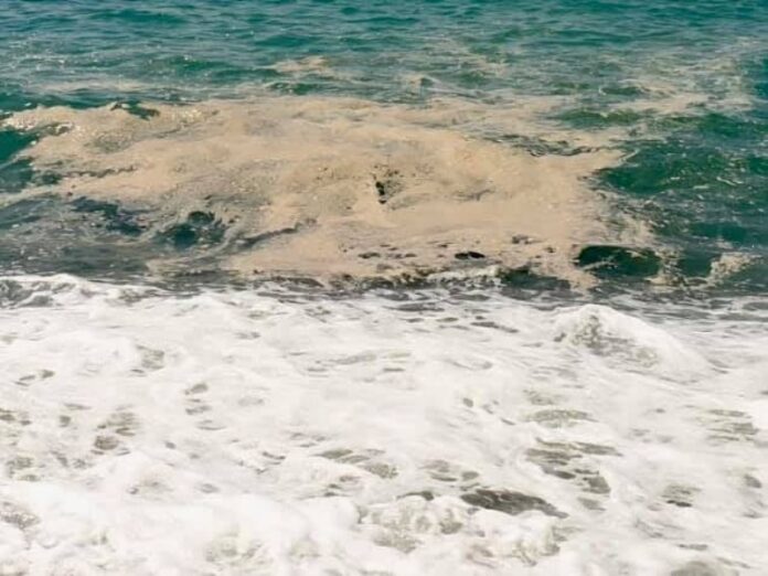 mare Fuscaldo 2020