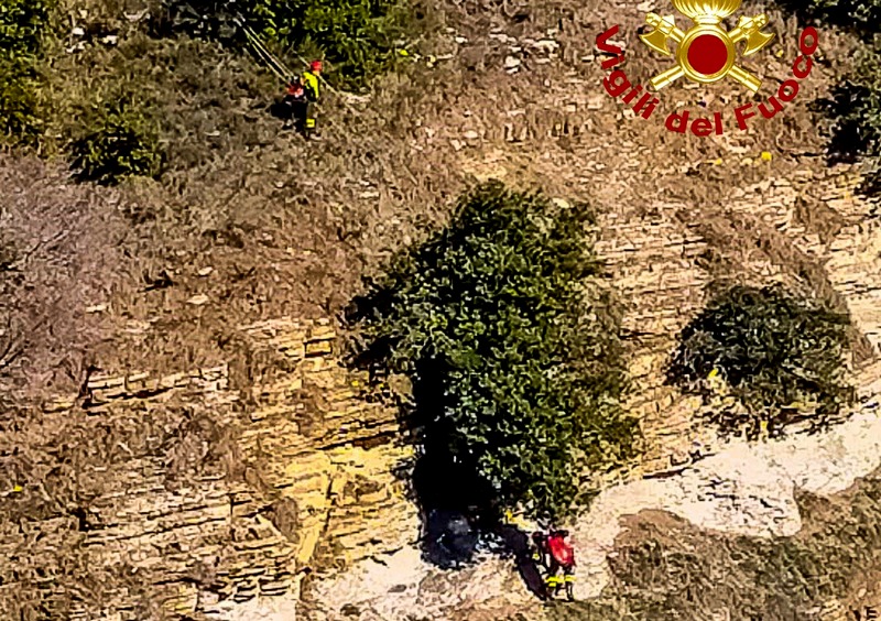 cane dirupo vigili del fuoco