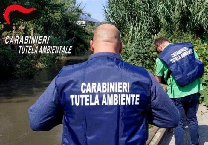carabinieri tutela ambientale