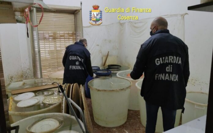 contrabbando alcolici sequestro gdf