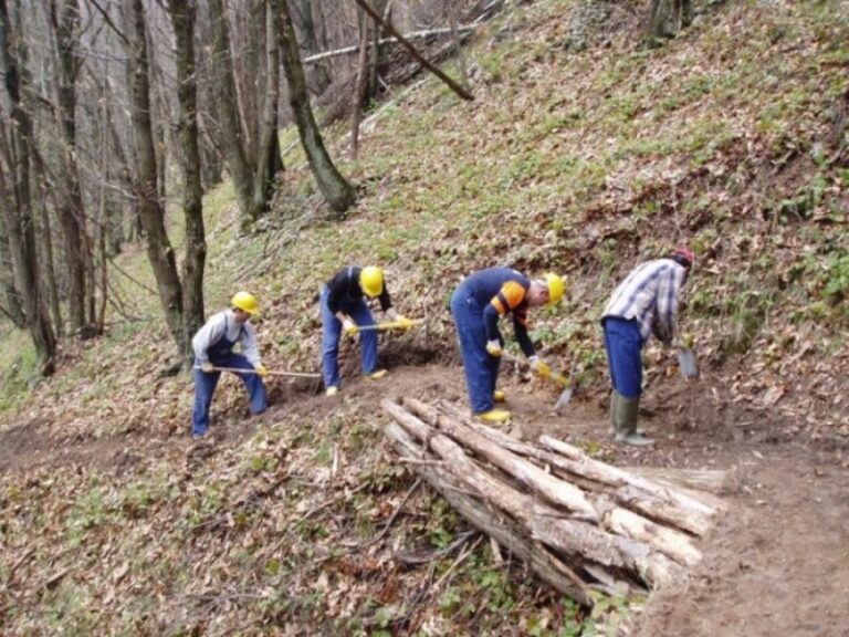 dipendenti forestali