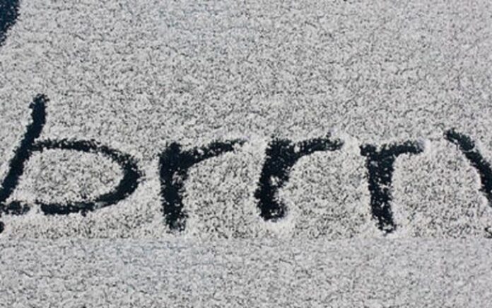 temperature in netto calo