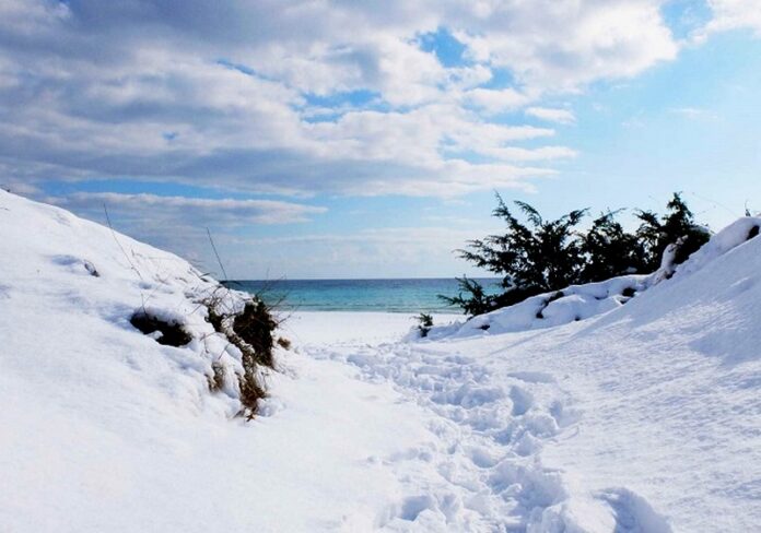 neve sila