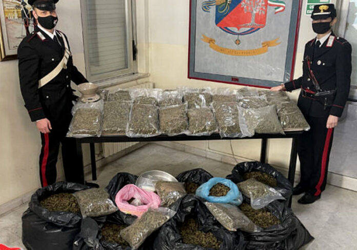 sequestro marijuana lamezia