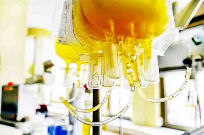 plasma sacche