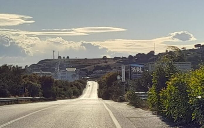 s.s.106 alberi sulla strada