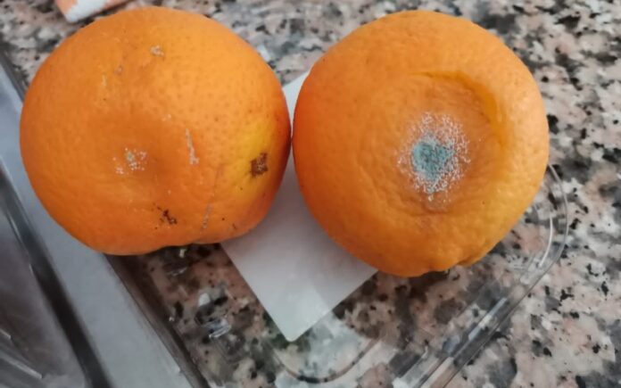 frutta marcia scuole lamezia
