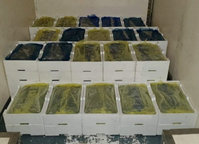 sequestro novellame crotone