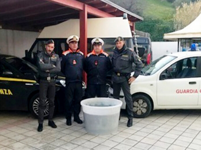 sequestro novellame sarda