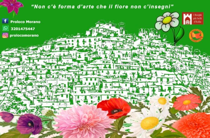 Borgo in fiore