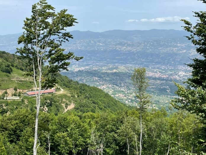 cammino san francesco