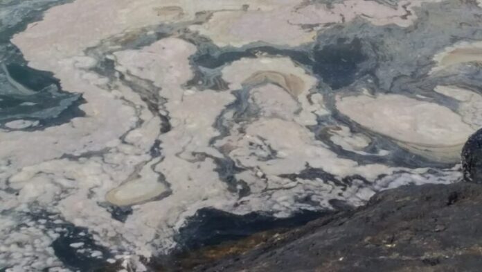 mare sporco tirreno cosentino