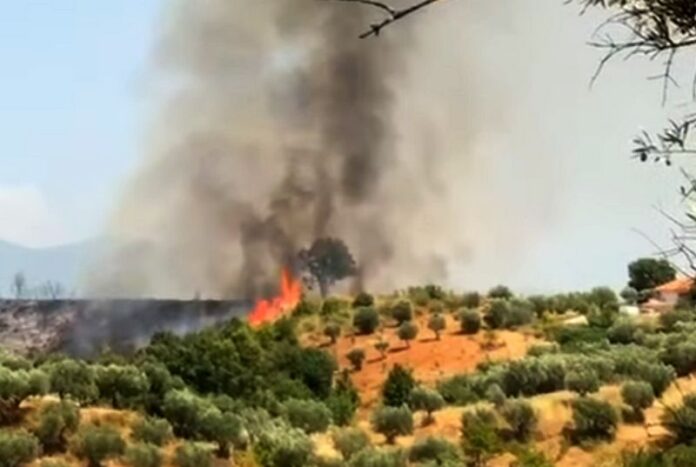 incendio sant'agostino rende