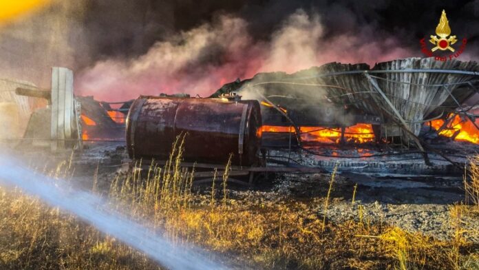 incendio vivaio Bisignano