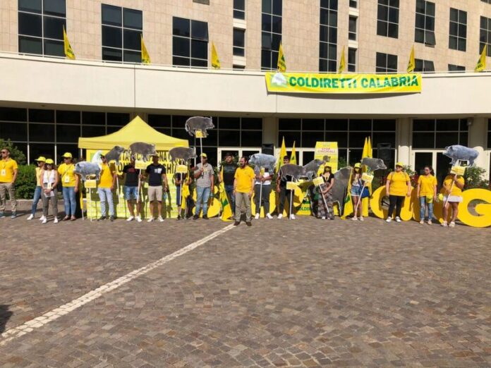 protesta coldiretti emergenza cinghiali