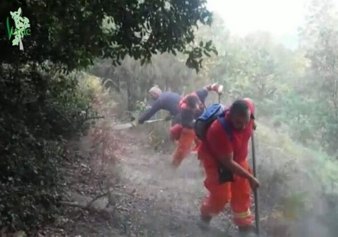 Calabria Verde operai idraulico forestali