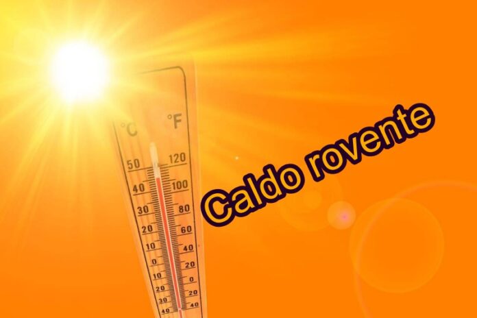 caldo