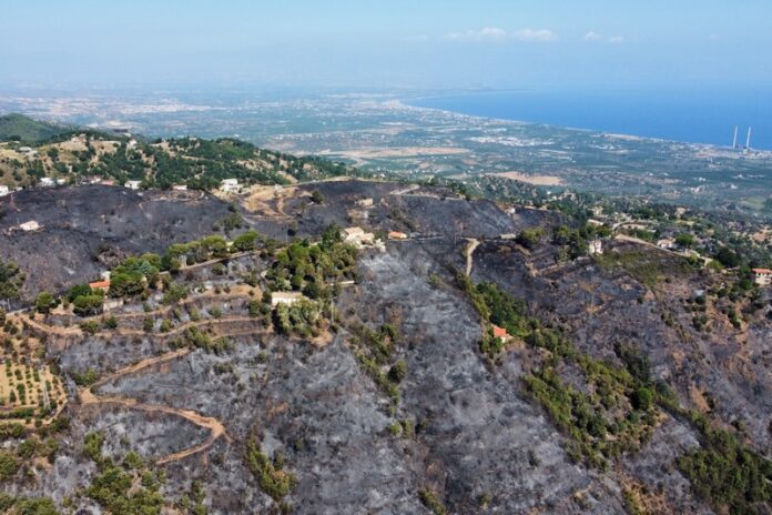 danni incendio montagna rossano