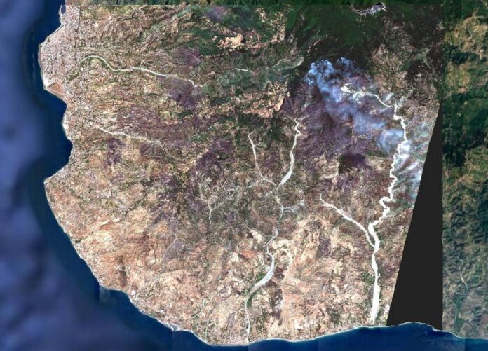 incendi aspromonte satellite
